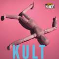 Kult. 2.diel trilógie Camilly Läckbergovej a Henrika Fexeusa