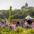  POD SMOLENICKÝM ZÁMKOM BUDE V SOBOTU LETNÝ FESTIVAL MEDOKVAS