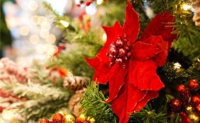 Ako si doma vytvoriť čarovnú vianočnú náladu? 