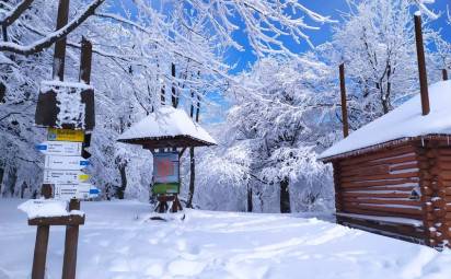 Užite si krásy zimnej turistiky v Bardejove, Svidníku a okolí
