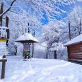 Užite si krásy zimnej turistiky v Bardejove, Svidníku a okolí