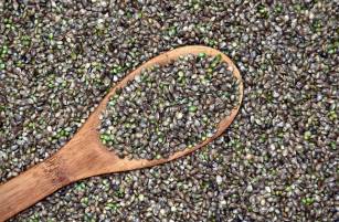 Konopné semienka sú superpotravinou. Prečo by ste si ich mali dať už dnes?