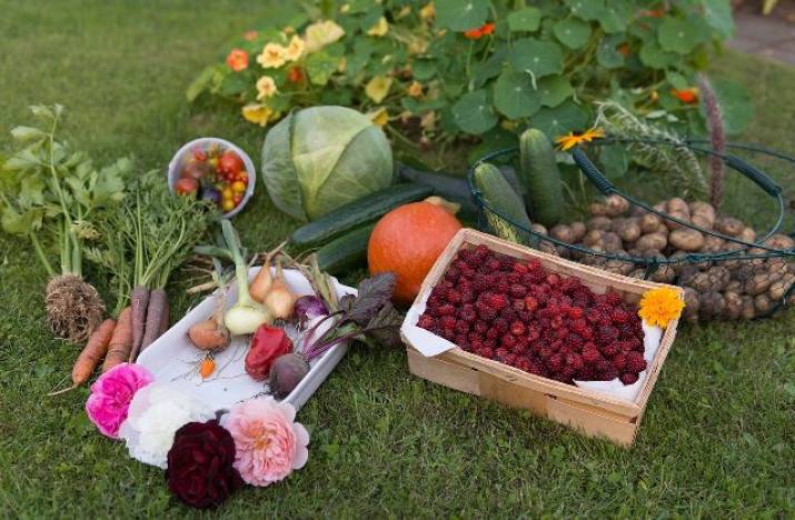 Jesenná záhrada ponúka bohatú úrodu. Tipy, ako ju spracovať na zimu