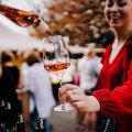 Trnavské vinárstvo otvorí svoje pivnice verejnosti počas Dňa mladých vín