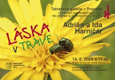 Laska v trave 2024 plag web