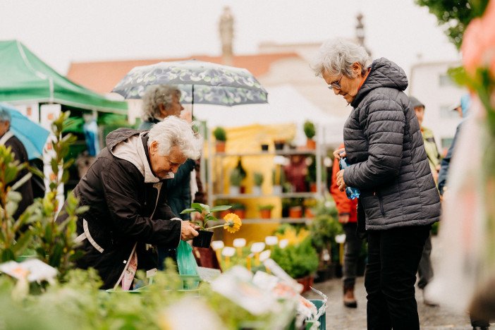 Štvordňový trh Májový kvet prinesie do Trnavy tisícky kvetov