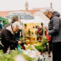 Štvordňový trh Májový kvet prinesie do Trnavy tisícky kvetov