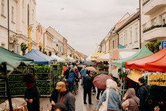 Májový kvet_zdroj Zaži v Trnave (1)