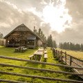 6 najkrajších oblastí v Dolnom Rakúsku