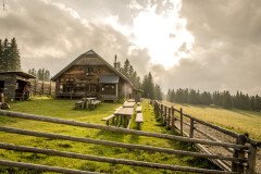 12Photo