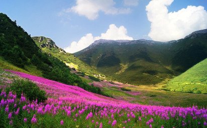 Najobľúbenejšie Tatry a Slovenský raj, menej obľúbené medvede