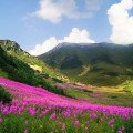 Najobľúbenejšie Tatry a Slovenský raj, menej obľúbené medvede