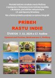 INDIA 7 11 2024 17 h