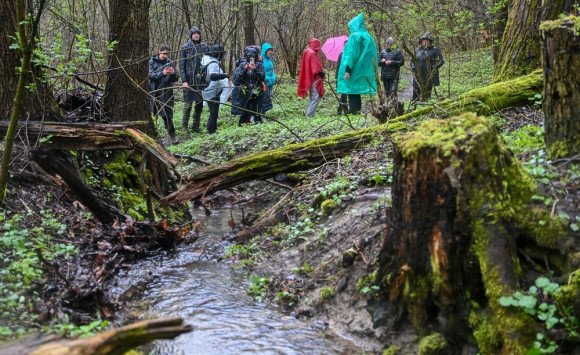 Prebúdzajúcu sa prírodu spoznajú turisti na jarných Lesopotulkách