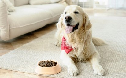 Extrudované vs. za studena lisované granule: Ktorá voľba je lepšia?