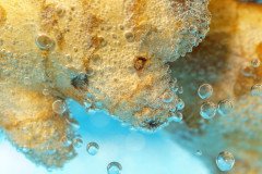 close-up-water_1048944-23283954