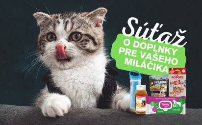 Ako naučiť svojho domáceho miláčika správnym návykom?