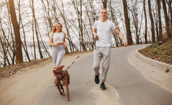 Beh so psom je športový zážitok! Čo je to canicross/dogtrekking?