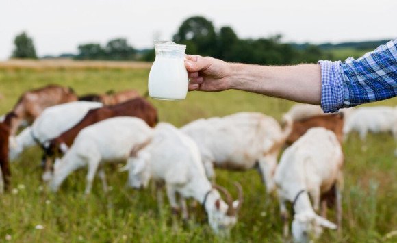 Cmar – priateľ pevného zdravia