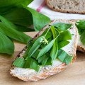 Medvedia nátierka s bryndzou na chlebík