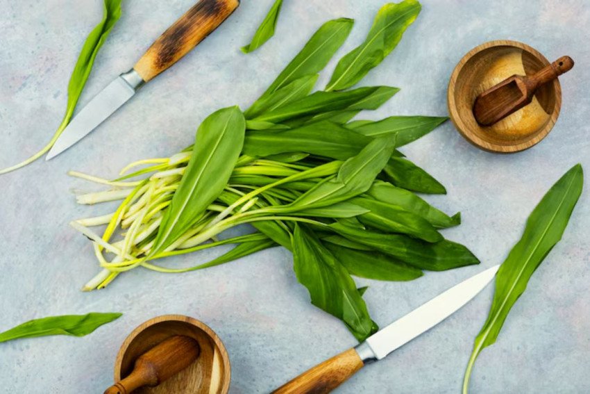 Medvedí cesnak – ako ho pestovať a čo s ním na tanieri? Medvedí cesnak – ako ho pestovať a čo s ním na tanieri?