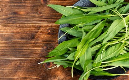 Prírodné antibiotikum: Viete, kde rastie medvedí cesnak v okolí Trnavy?