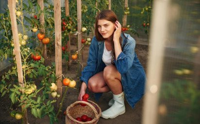 Zelenina – zdravá a takmer bez kalórií