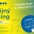 Galerijný skauting