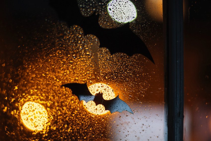 Bojíte sa tmy? Buďte ako Batman a premeňte strach na silu Bojíte sa tmy? Buďte ako Batman a premeňte strach na silu