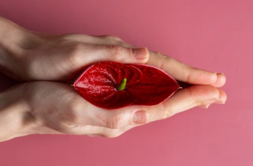 Večný nepriateľ: Vaginálna mykóza Večný nepriateľ: Vaginálna mykóza