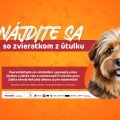 Z ulice do pelieška: Podujatie NÁJDITE SA… so zvieratkom z útulku