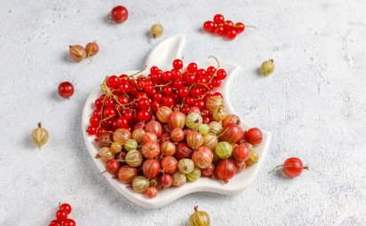 Ríbezle a egreše – ovocie s bohatou tradíciou a liečivou silou