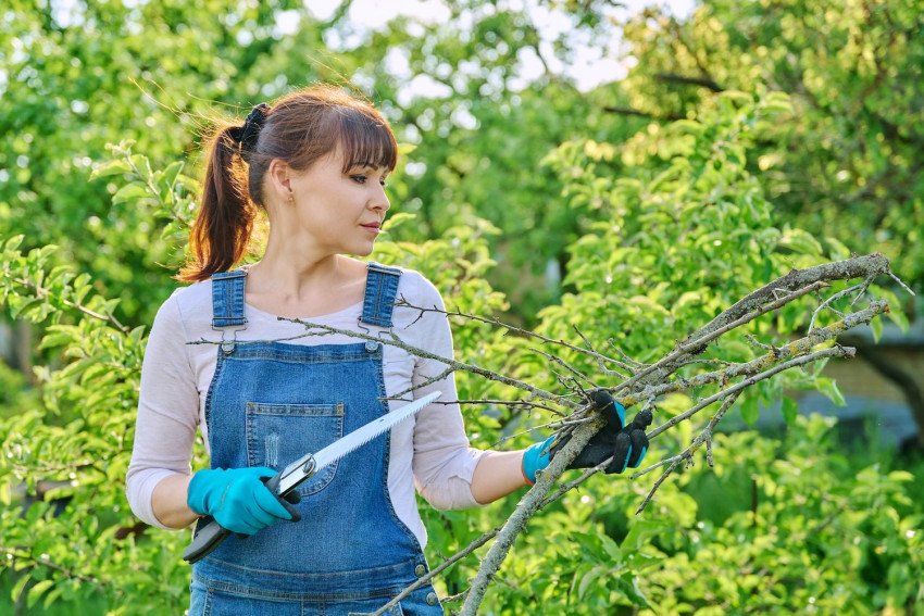 Pracovné oblečenie vás ochráni aj pri práci na dome, či v záhrade Pracovné oblečenie vás ochráni aj pri práci na dome, či v záhrade