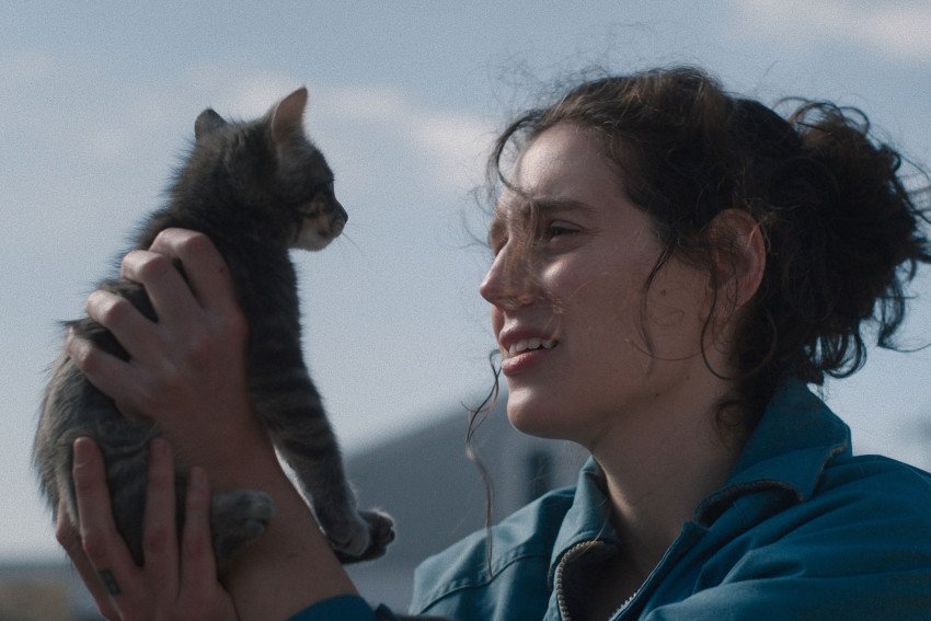 To najlepšie z najprestížnejších svetových filmových festivalov To najlepšie z najprestížnejších svetových filmových festivalov
