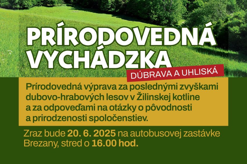 Prírodovedná výprava za poslednými zvyškami dubovo-hrabových lesov Prírodovedná výprava za poslednými zvyškami dubovo-hrabových lesov
