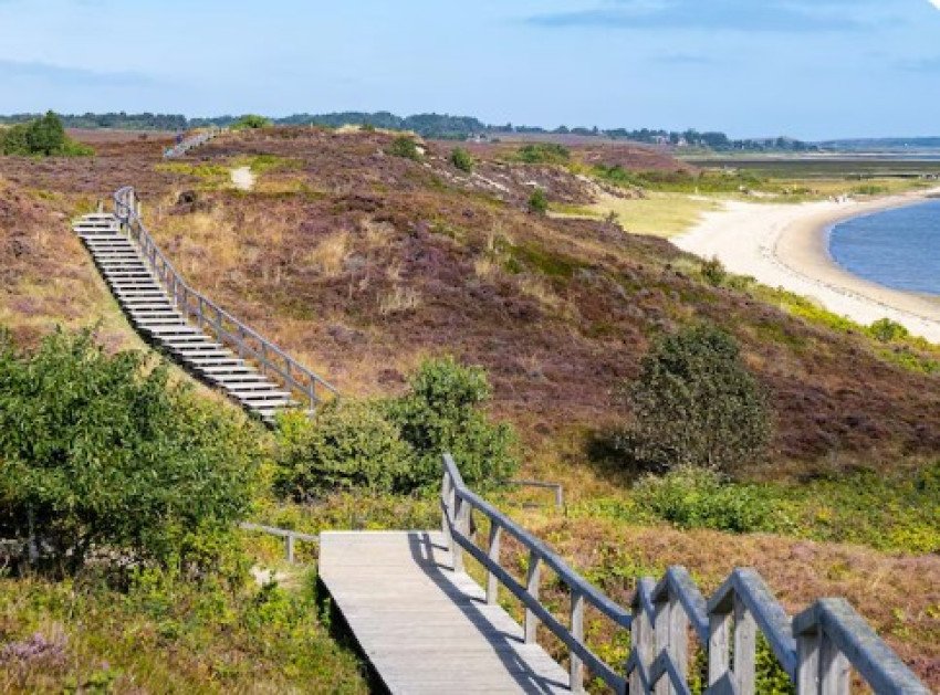 Národný park DE HOGE VELUWE poteší dušu aj zrak Národný park DE HOGE VELUWE poteší dušu aj zrak