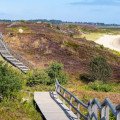 Národný park DE HOGE VELUWE poteší dušu aj zrak