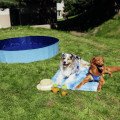 Je mu teplo? Takto spríjemníte leto vášmu psovi