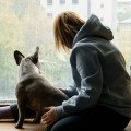 Domáci miláčik a letné búrky: Ako im pomôcť zvládnuť strach