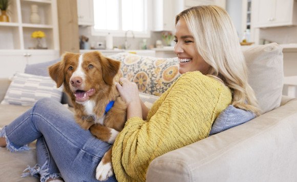 Čipovanie je kľúčové pri hľadaní strateného domáceho miláčika