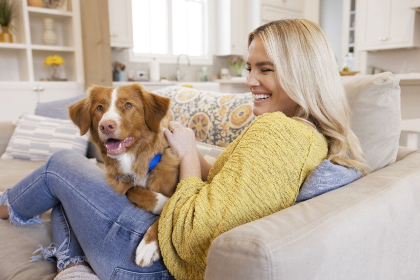 Čipovanie je kľúčové pri hľadaní strateného domáceho miláčika