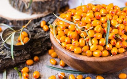 Rakytník – vitamínová bomba, ktorá porazí jesennú únavu