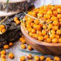Rakytník – vitamínová bomba, ktorá porazí jesennú únavu