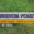 Intravilán mesta – miesto pre prírodu?