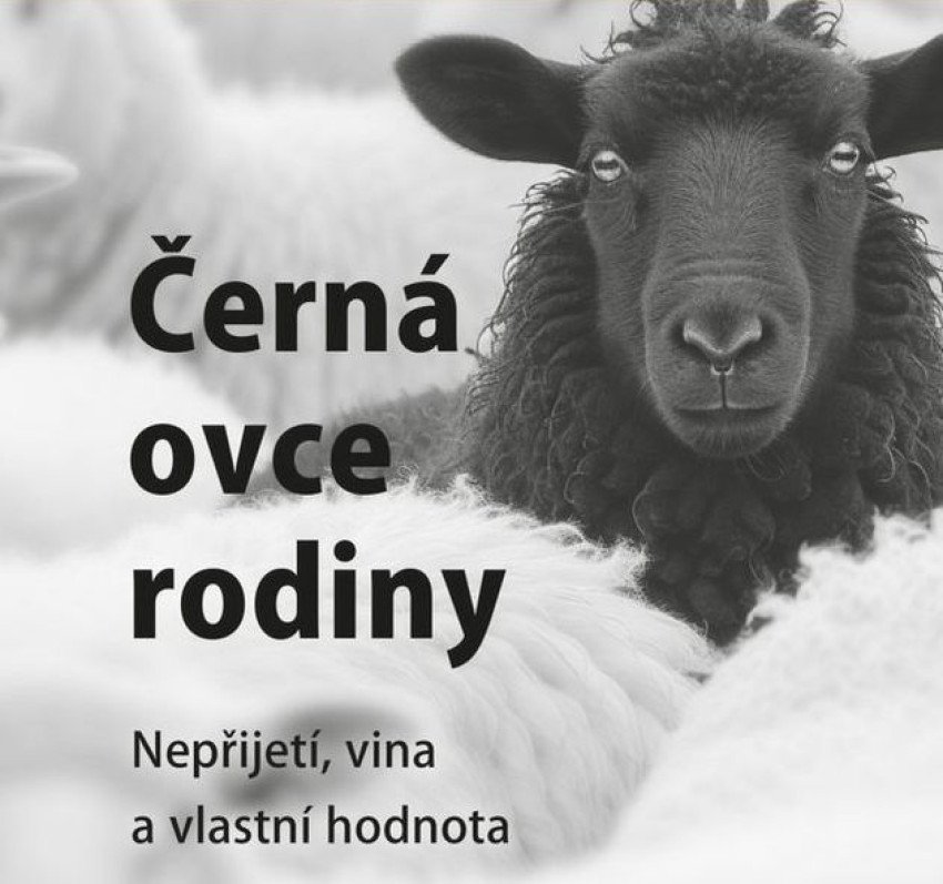Čierna ovca rodiny Čierna ovca rodiny