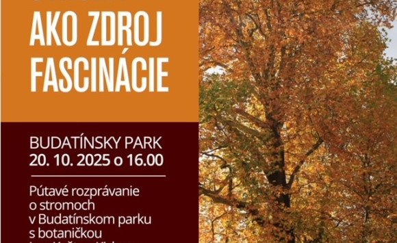 Fascinácia stromami v Budatínskom parku