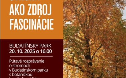 Fascinácia stromami v Budatínskom parku