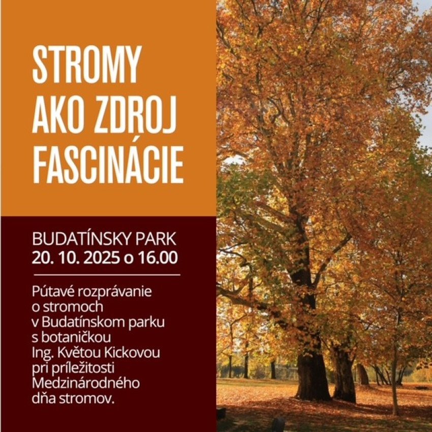 Fascinácia stromami v Budatínskom parku Fascinácia stromami v Budatínskom parku