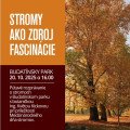 Fascinácia stromami v Budatínskom parku