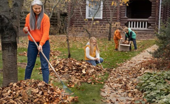 Jesenná príprava záhrady: Zber plodov, zazimovanie byliniek a ochrana rastlín